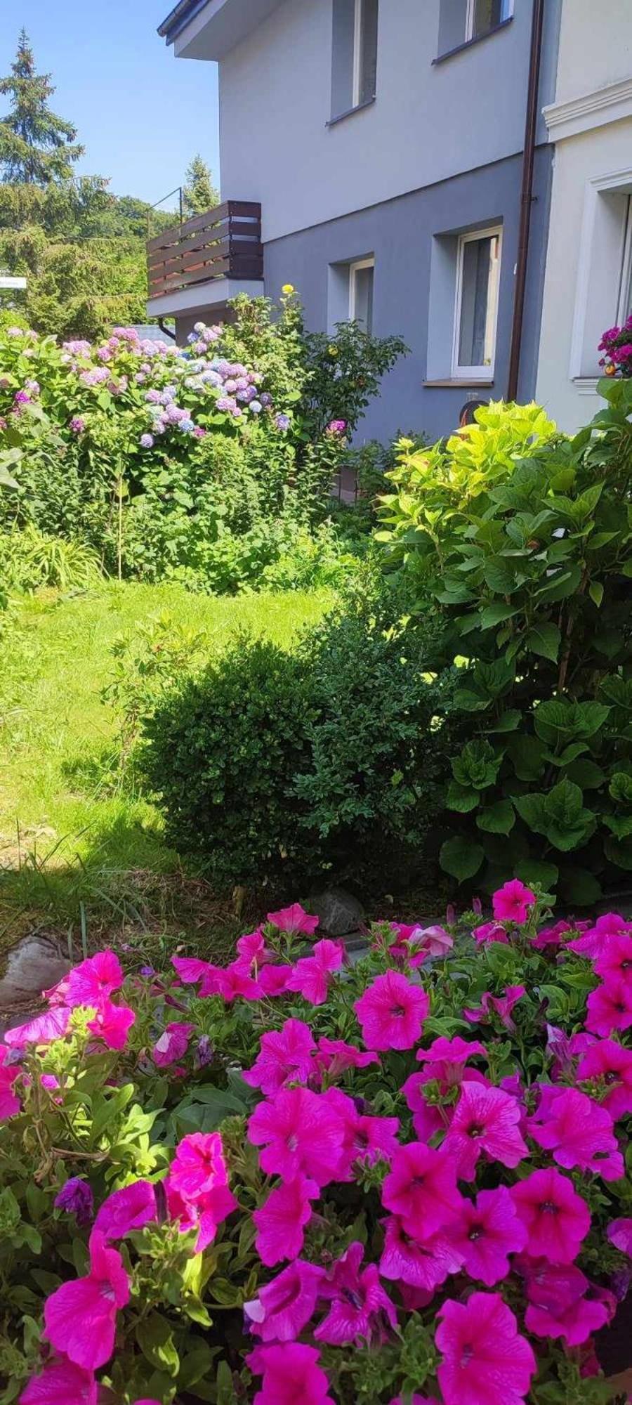 Pokoje Goscinne Anna Ustka Exterior foto